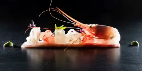 Per Me Giulio Terrinoni