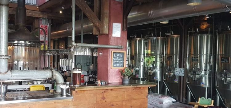 Flying Dodo Brewing Company