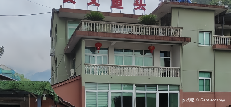 文文鱼头(云和店)