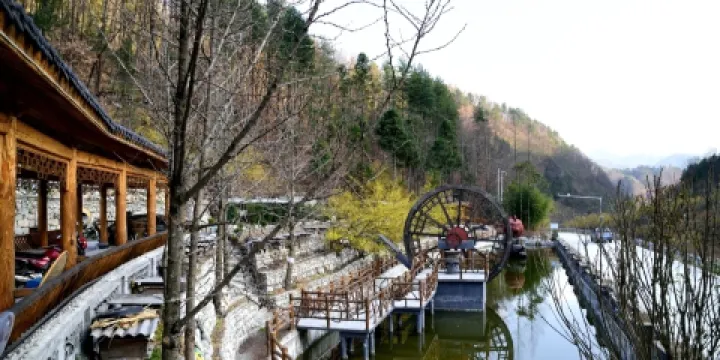 大灣山茱萸觀光園