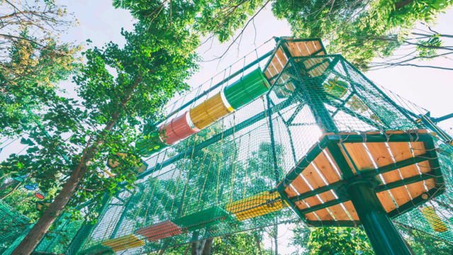 Nanjing Forest World Family Theme Park