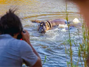 iSimangaliso Wetland Park
