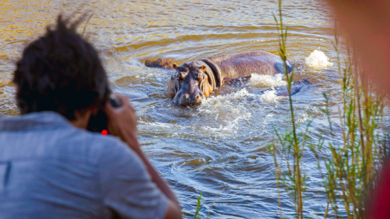iSimangaliso Wetland Park