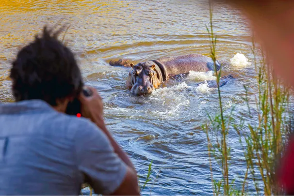 1_iSimangaliso Wetland Park