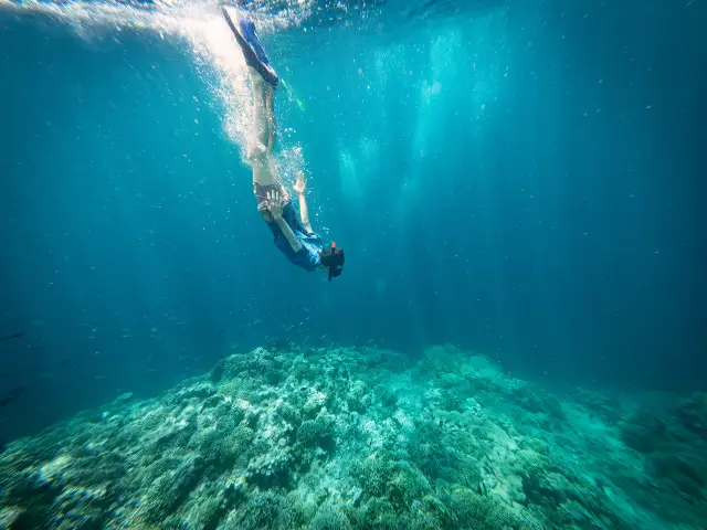 Bali Diving