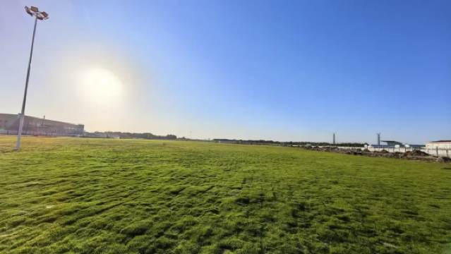 Foshan Grassland Music Venue