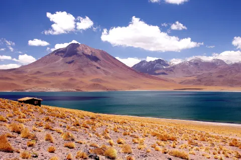 Miscanti Lake