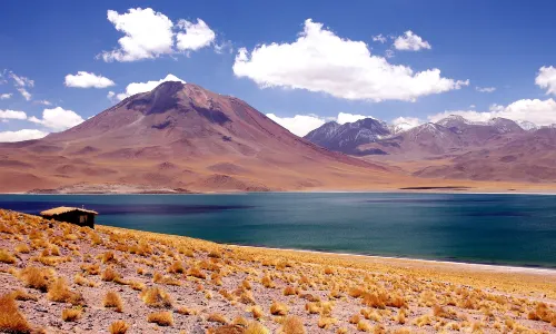 Miscanti Lake