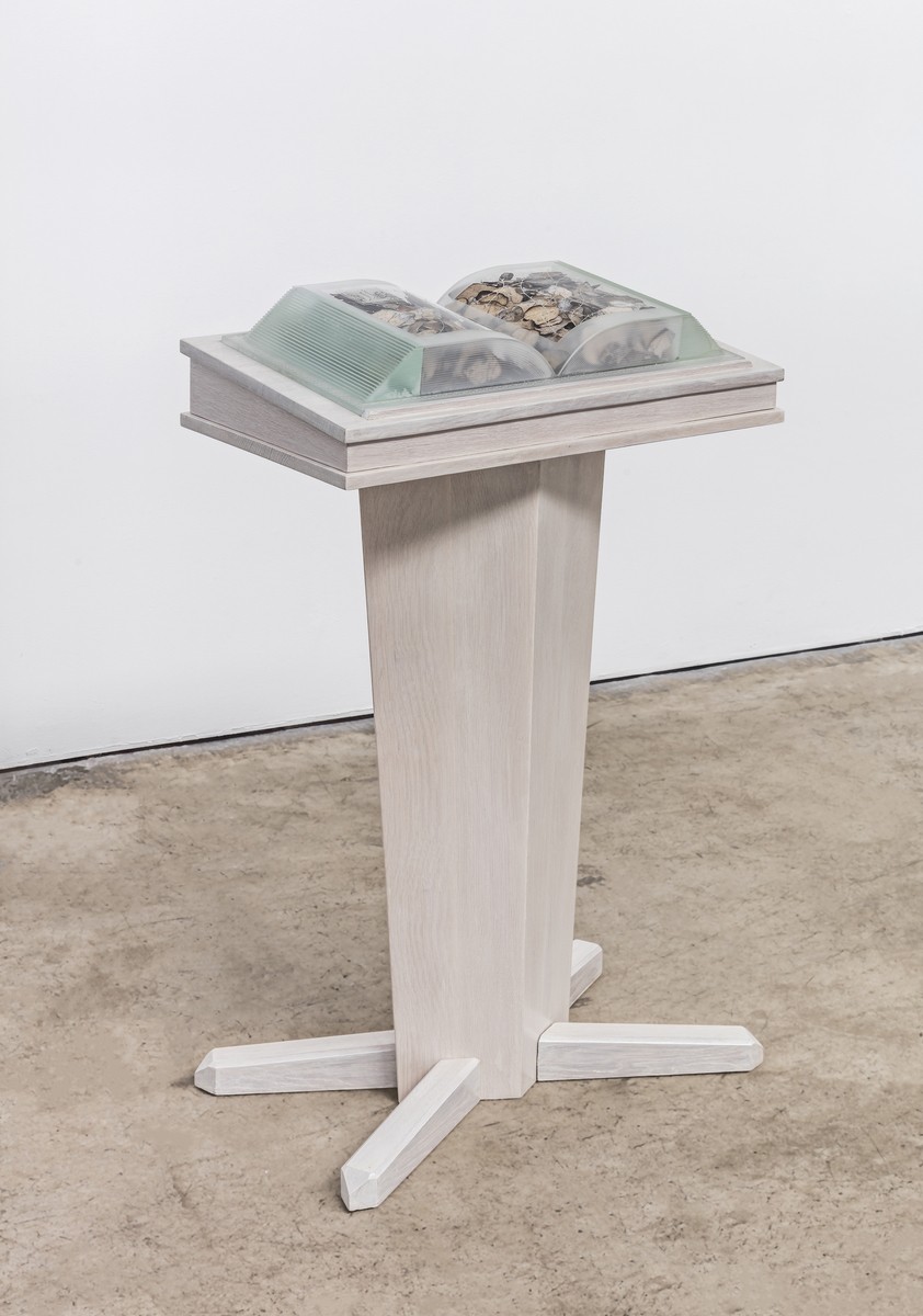 Tim Whiten: A Little Bit of Light | Art Gallery of Ontario