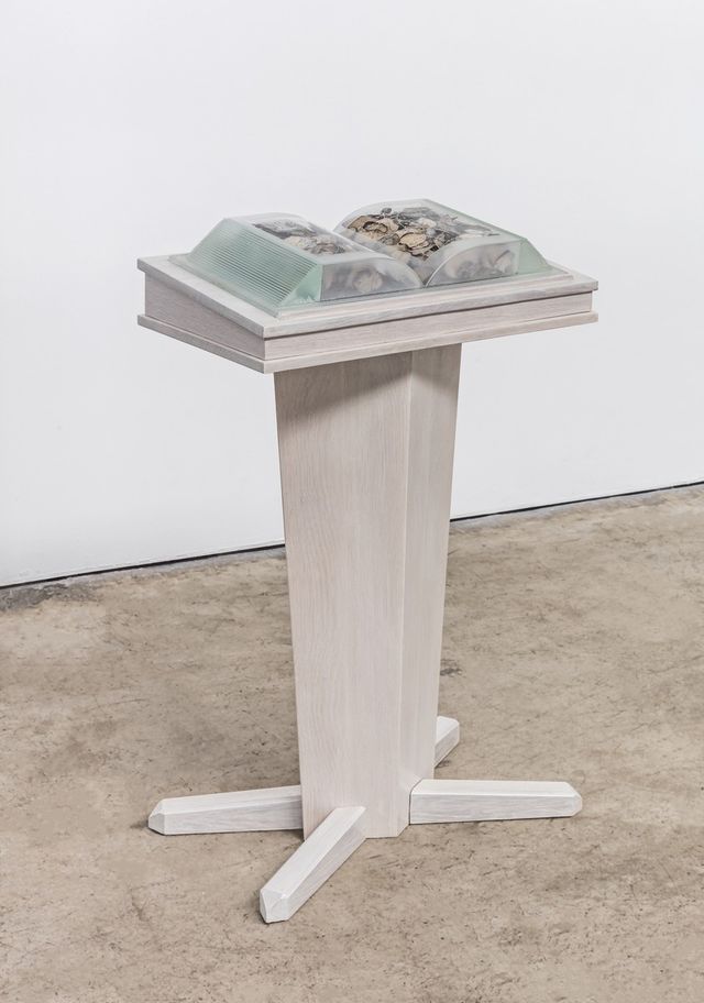 Tim Whiten: A Little Bit of Light | Art Gallery of Ontario