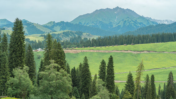 Kurdning·Bai Rui Camp