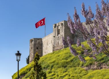 ガズィアンテプ行き飛行機