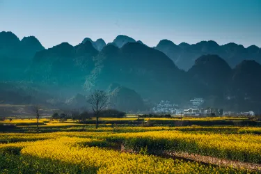 Xingyi