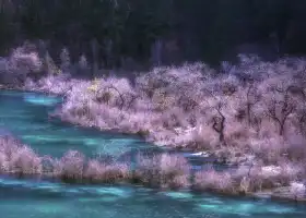 九寨溝風景區