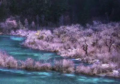 Things to Do in Jiuzhaigou in 2025 - Top Attractions, Local