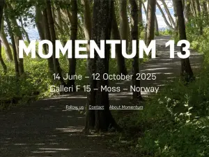 Momentum 13 (Norway)