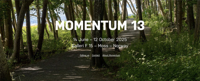 Momentum 13 (Norway) | Galleri F15