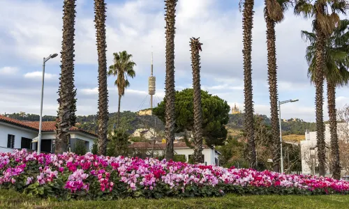 Tibidabo Mountain