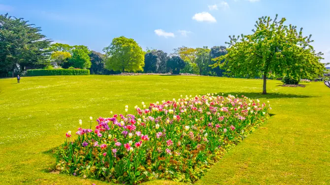 3_Phoenix Park