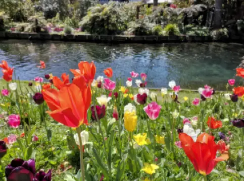 สวนโมนาเวล