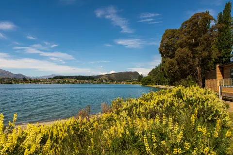 Lake Wānaka