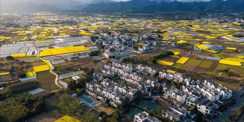 西溪南古村落水上竹筏來回遊覽觀光票大小同價