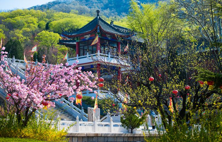 Compare 4 airports near Laizhou
