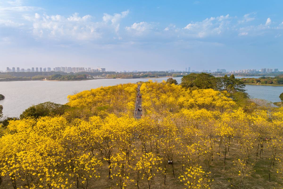 松山湖のおすすめ観光スポット