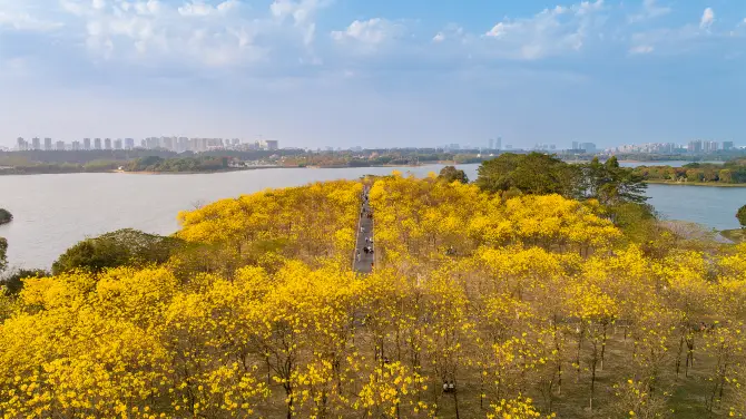 5_松山湖生態景區