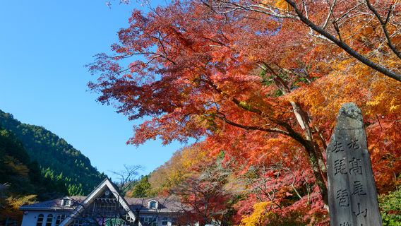 Mount Takao