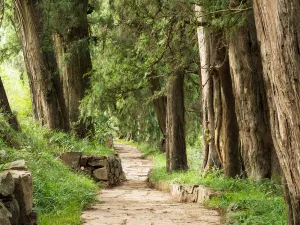 Cuiyun Corridor
