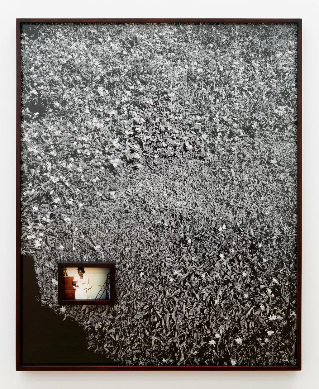 Narratives in Focus: Selections from PAMM's Collection | Pérez Art Museum Miami