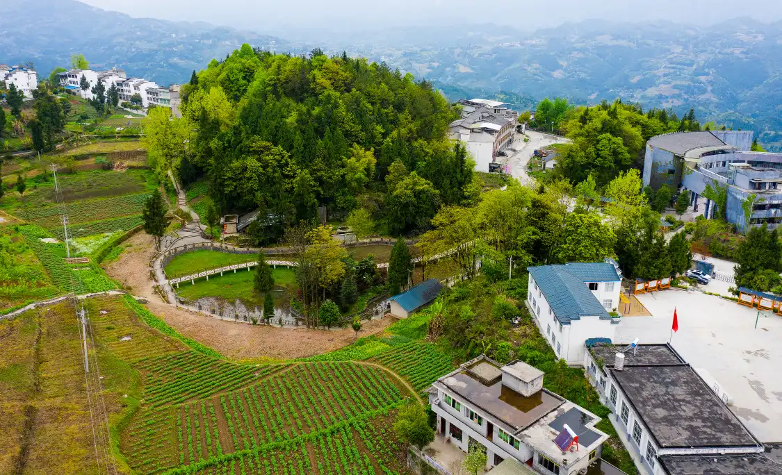 大水井周辺のホテル