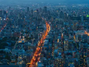 Top 20 Night Attractions in Osaka