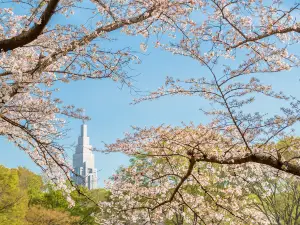 Công viên Yoyogi