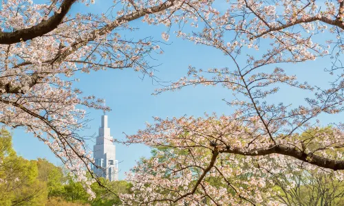 Công viên Yoyogi