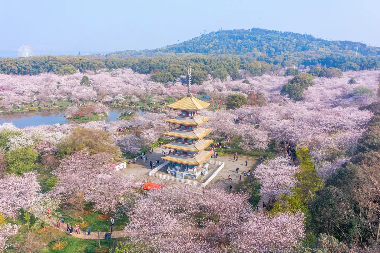 3_East Lake Scenic Area