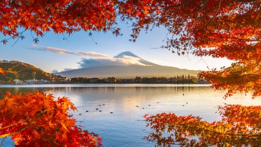 河口湖遊覽船 天晴河口湖遊覽船 天晴郵輪船票成人票 河口湖遊覽船 天晴河口湖遊覽船 天晴郵輪船票成人票