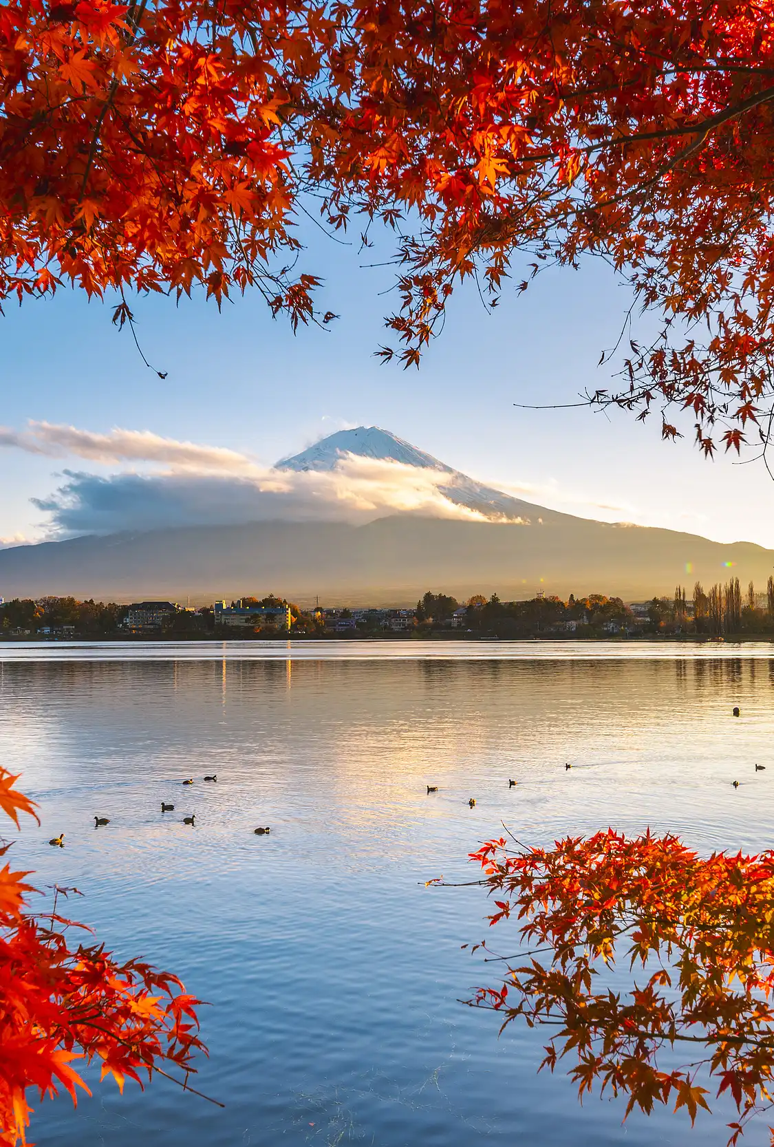 Hotels near Lake Kawaguchi