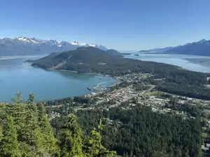Haines State Forest