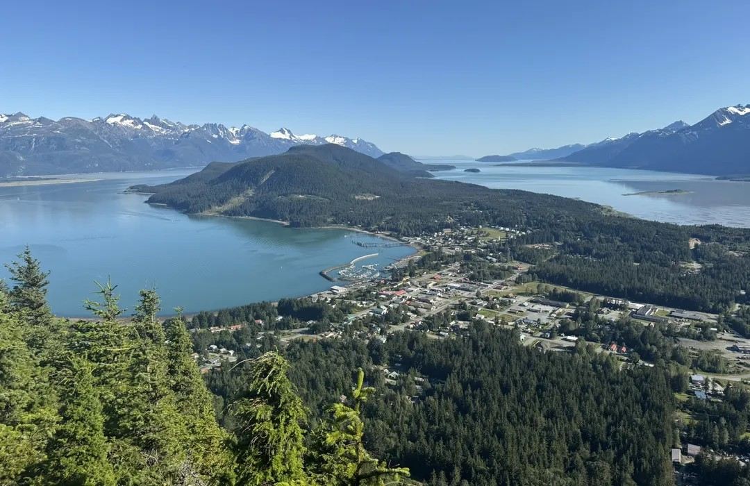 Haines State Forest