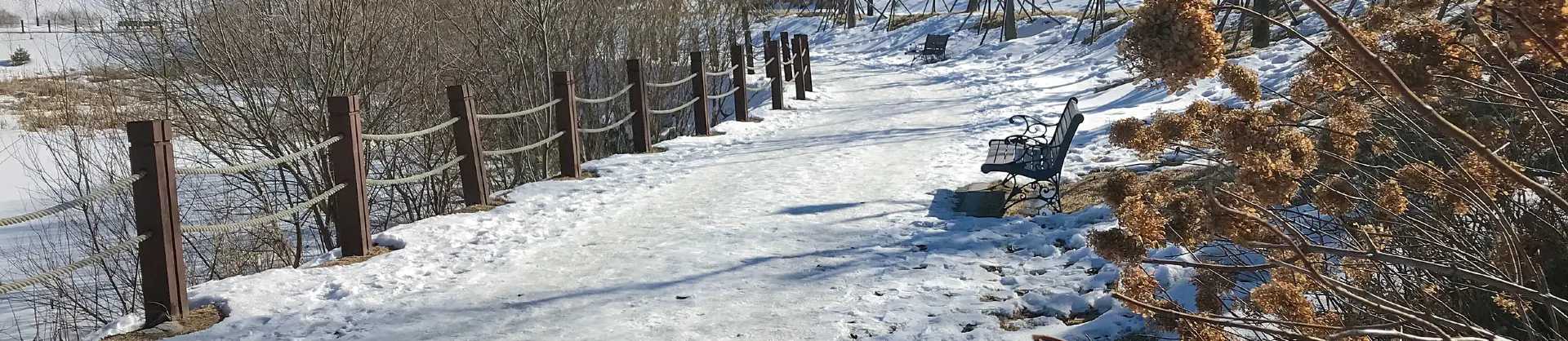 Ski