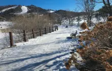 韓國阿爾卑斯滑雪場