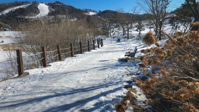 韓國阿爾卑斯滑雪場