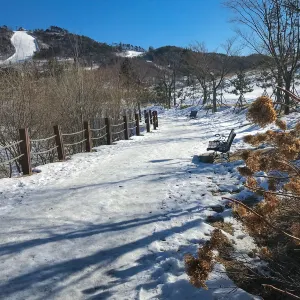韓國阿爾卑斯滑雪場