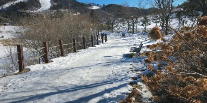 韓國阿爾卑斯滑雪場