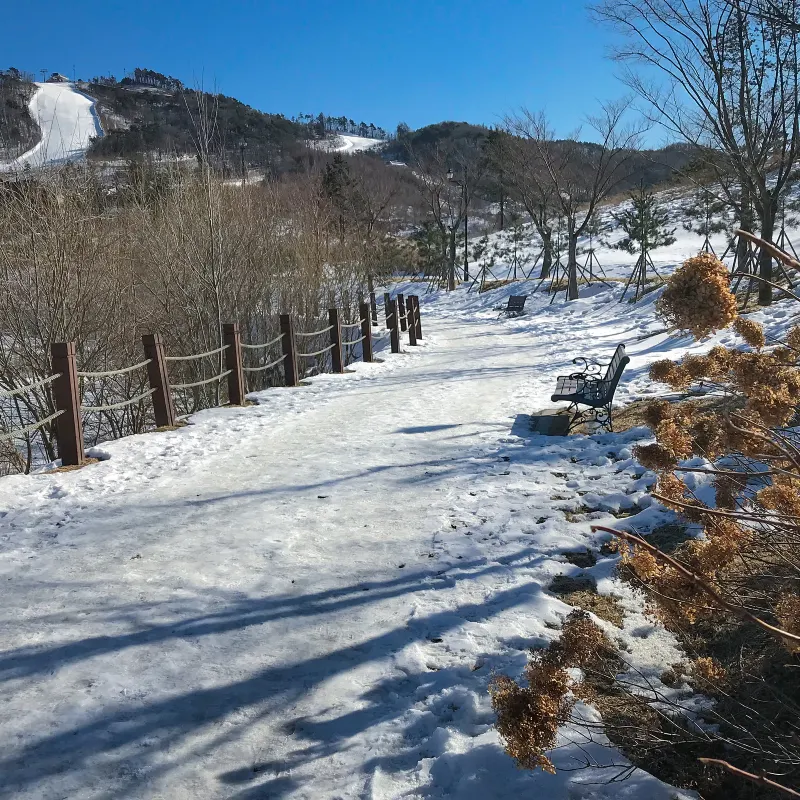 韓國阿爾卑斯滑雪場