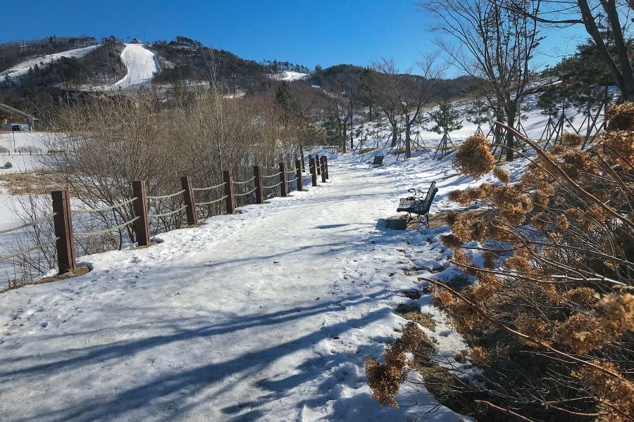 韓國阿爾卑斯滑雪場