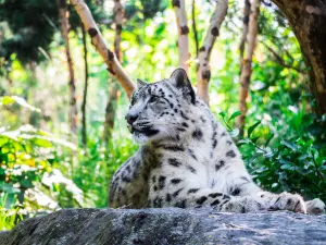 Central Park Zoo