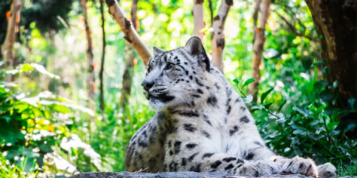中央公園動物園